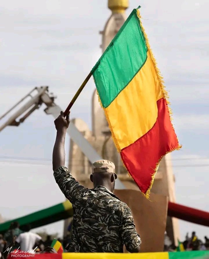 Yoda Green tweet media