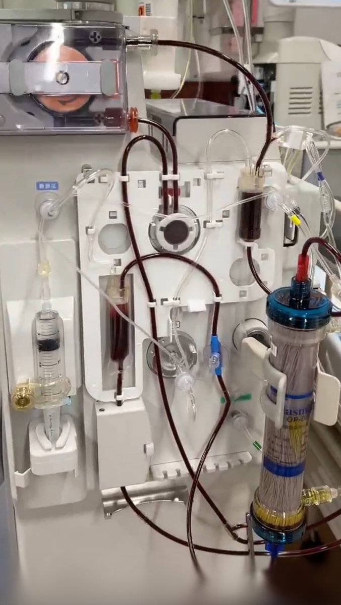 Kenny Carmody tweet media