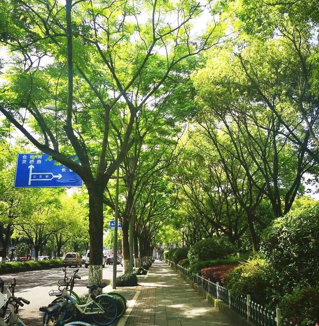 Fabio Gallo tweet media