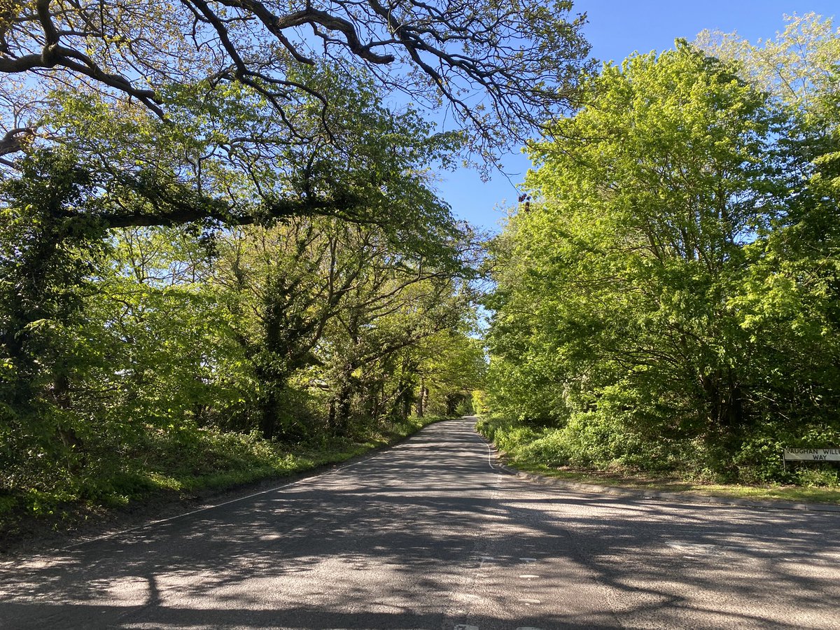 EszterEsztero's tweet image. New running route in the woods 🌳🌿nice 6.5 km done  🏃 met a little friend looking down at me 😊🐿️ 

#UKrunchat