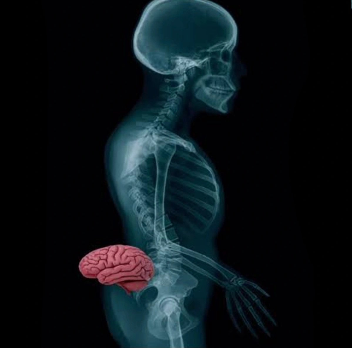 kein ๋⭑ tweet media