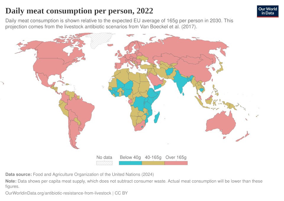 kediye kafa atan mücahid fare tweet media