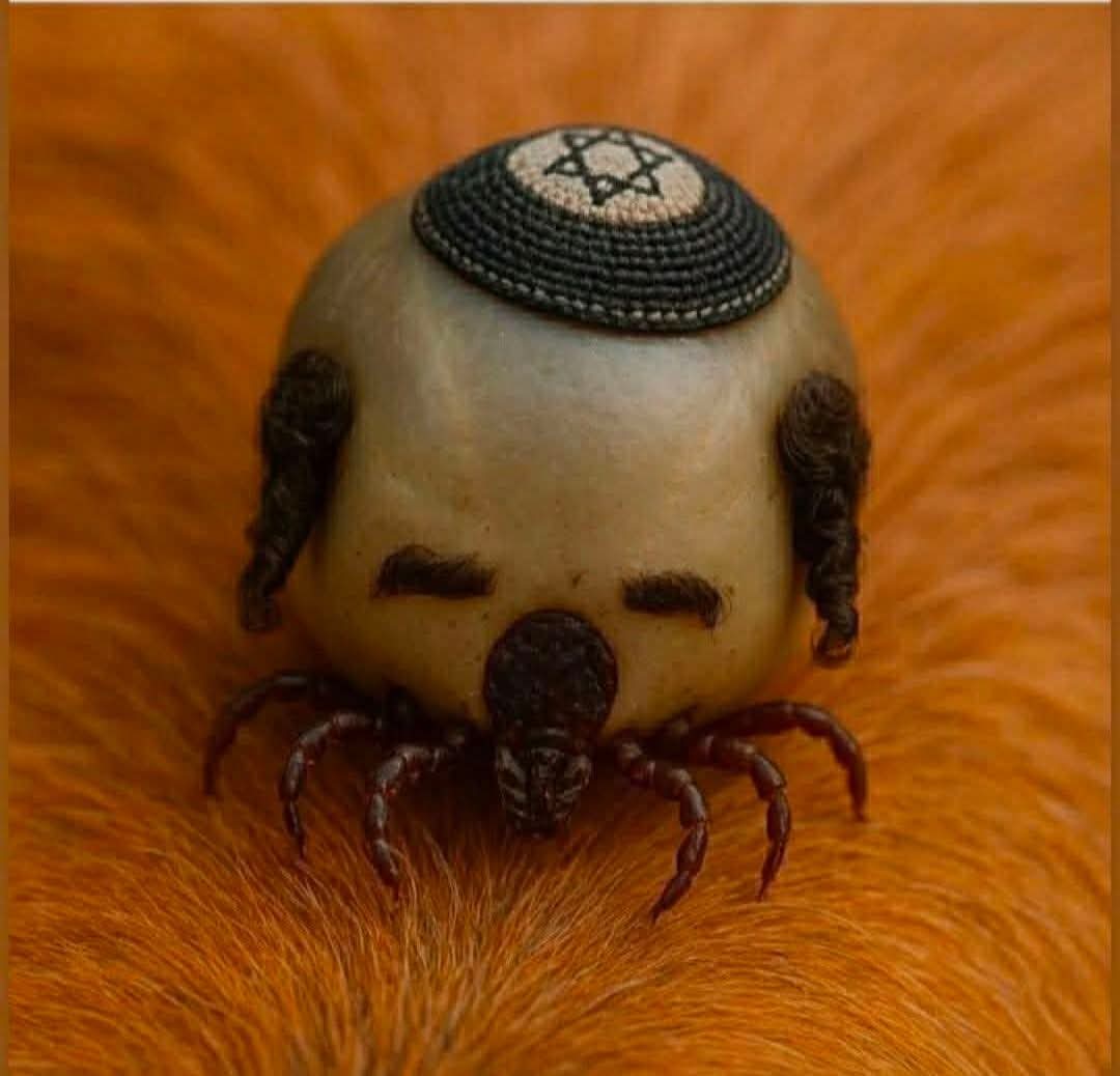 HalfBloodPaddy 🇵🇱🇮🇪 tweet media