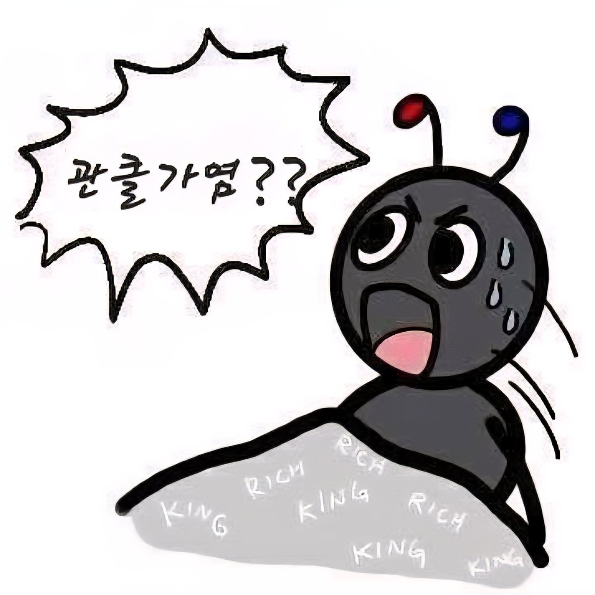 아쌈.픽쳐. tweet media