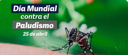 El 25 de abril se celebra el Día Mundial del Paludismo con el objetivo de poner de relieve la necesidad de invertir continuamente en la prevención y el control de la enfermedad de la malaria.
#CubaEstáFirme #CubaPorLaSalud #PinardelRío #LaPatriaSeDefiende #UCMPinar