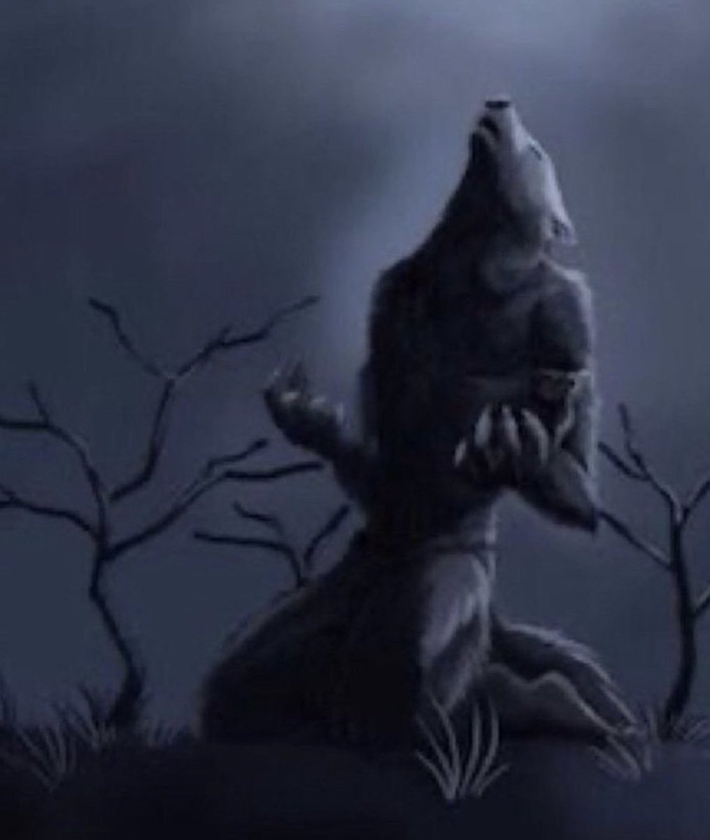 nana⁷⭐️ seeing bts tweet media