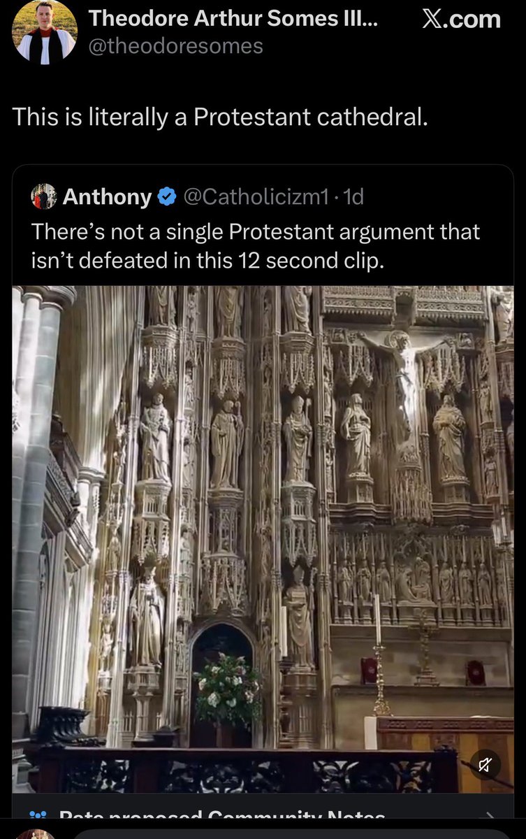 Bree Solstad tweet media