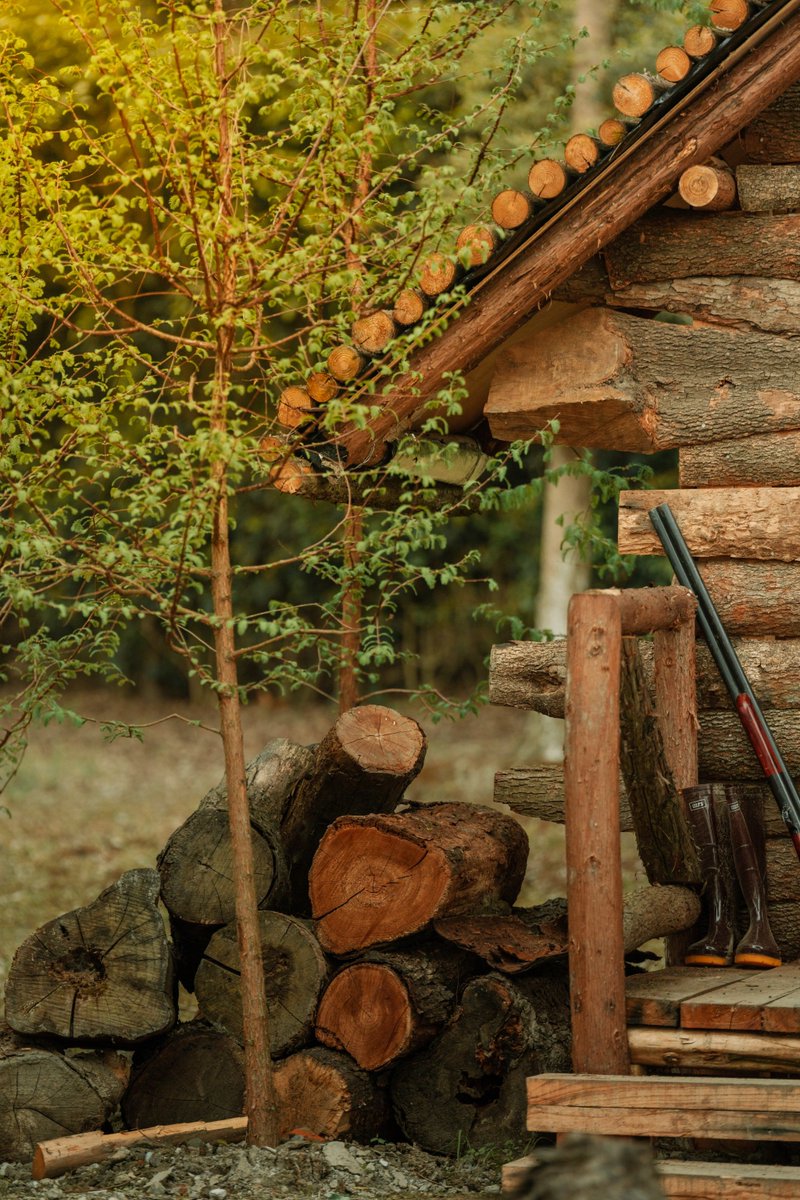 phili aigbedion tweet media