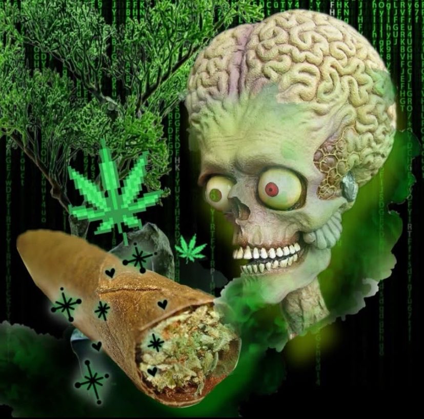 REAL VECK 👑 tweet media