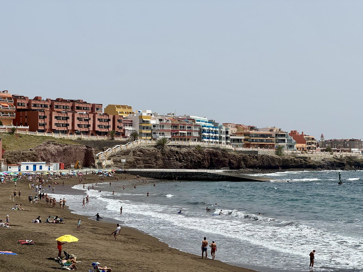 Maxim Vos tweet media