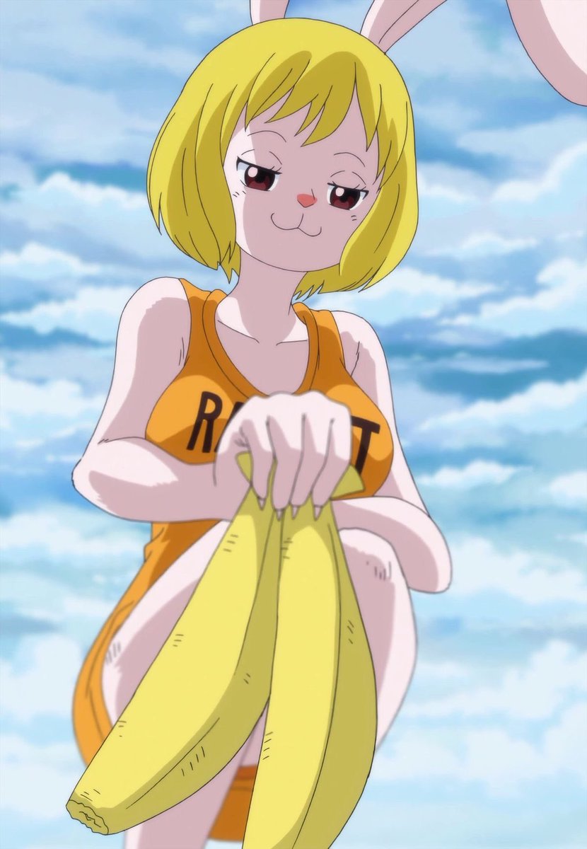 キャロット 🥕 (@dailycarrot_) on Twitter photo 