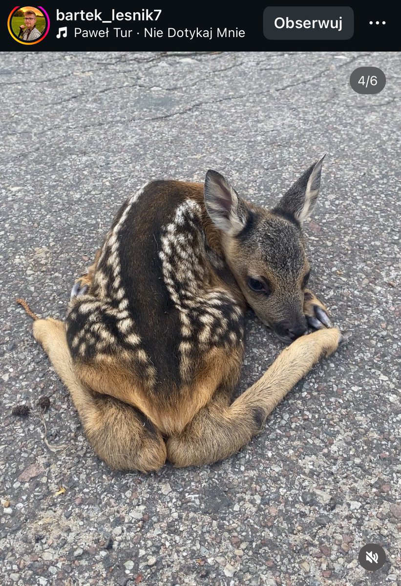 Ka SzaLew 📚 tweet media