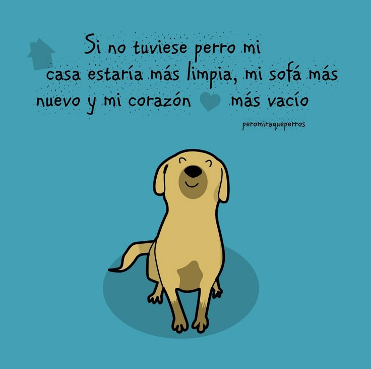 Maxi (@rey_latino33087) on Twitter photo 