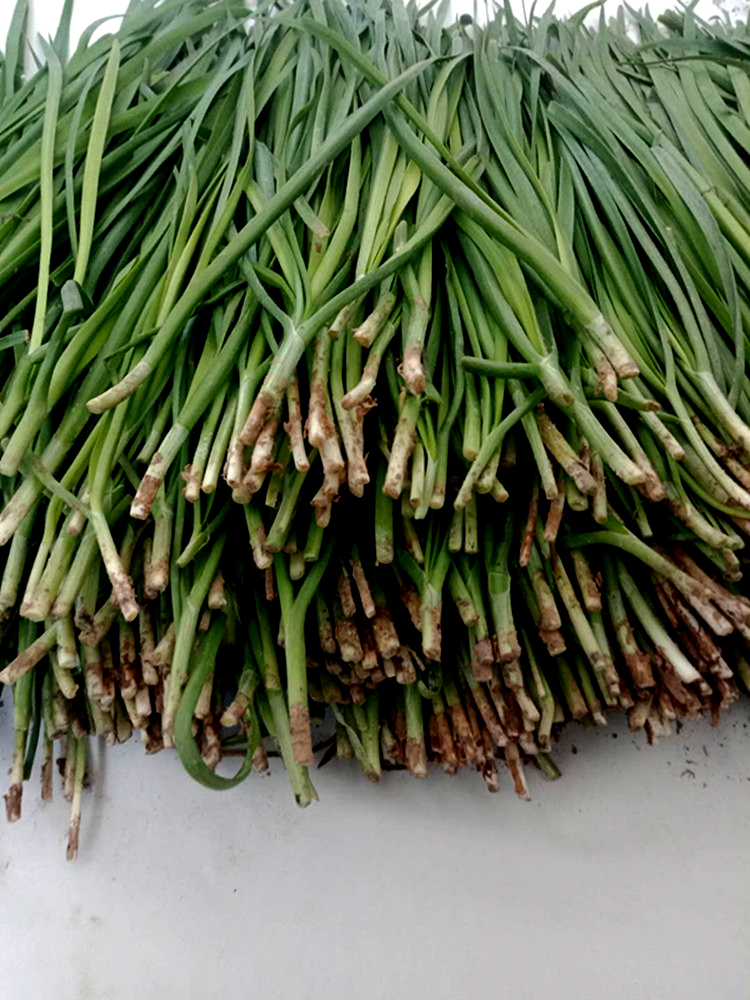 cassie guilliee tweet media