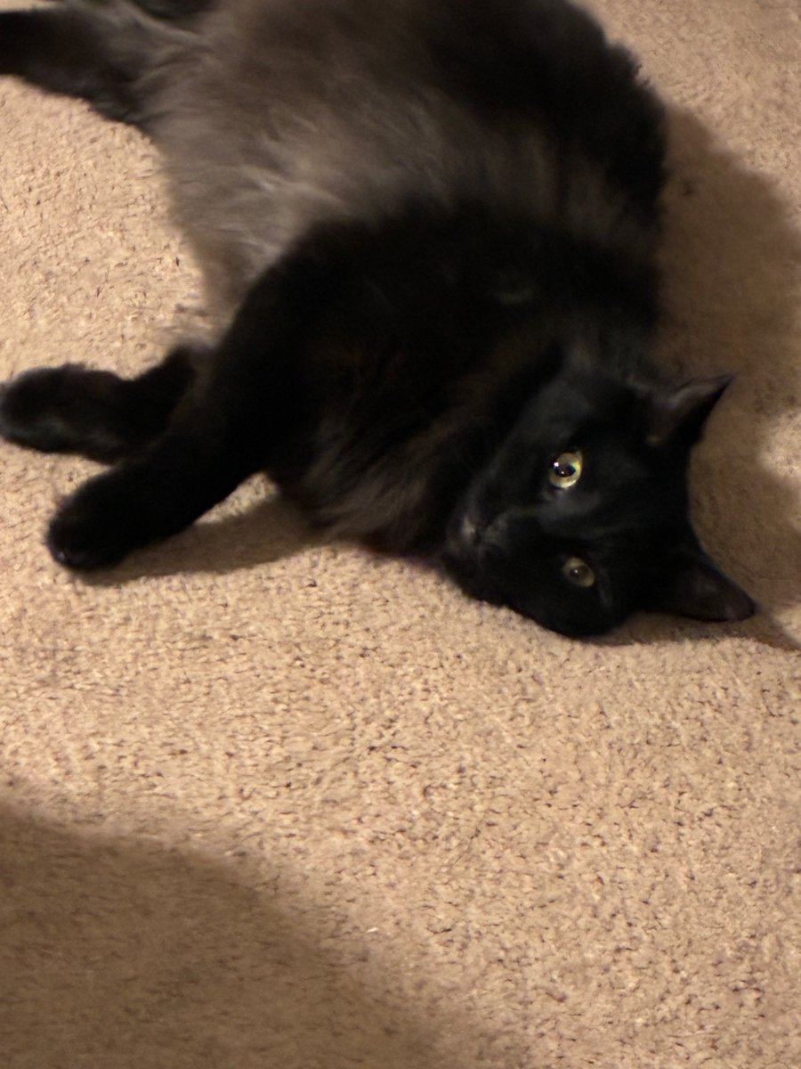 KARKAT OF SHTWT💔♋️ tweet media