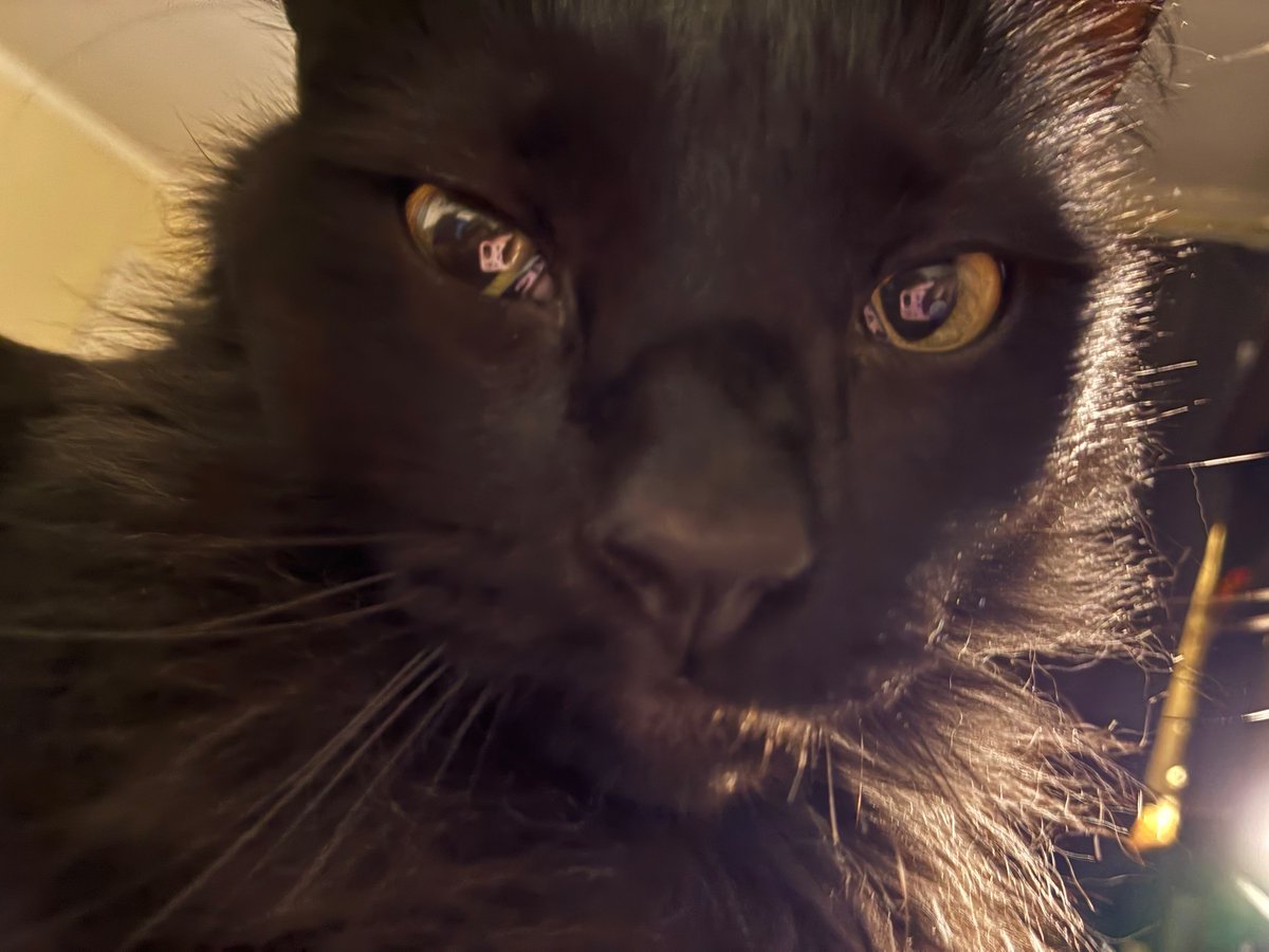 KARKAT OF SHTWT💔♋️ tweet media