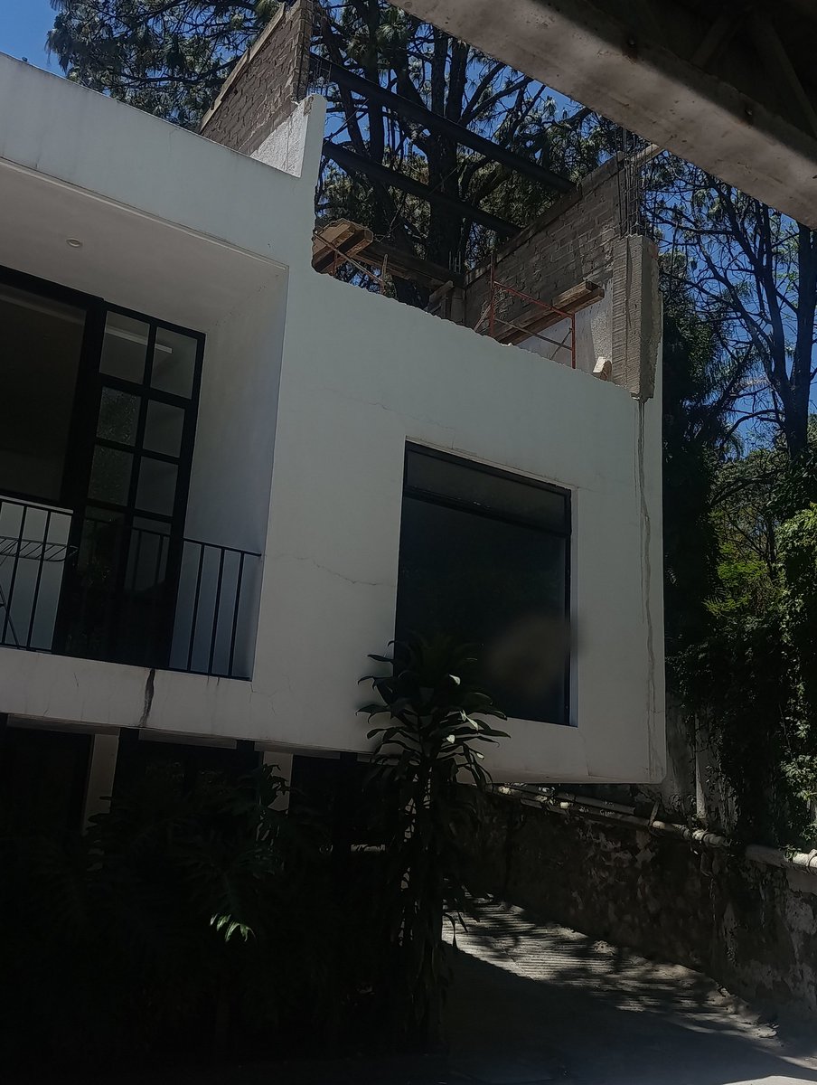 Únicamente tweet media