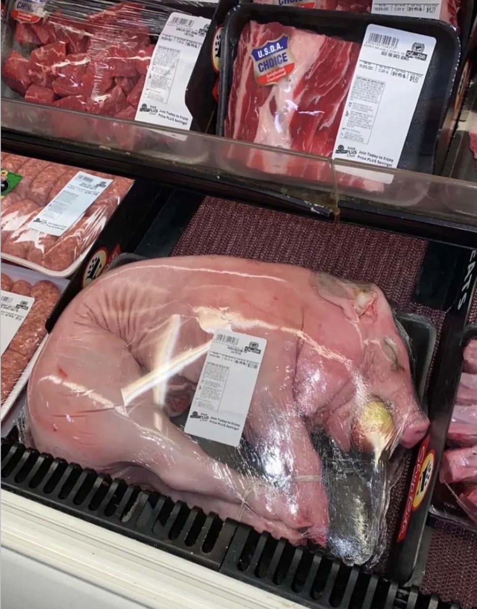 NothingIsArt tweet media