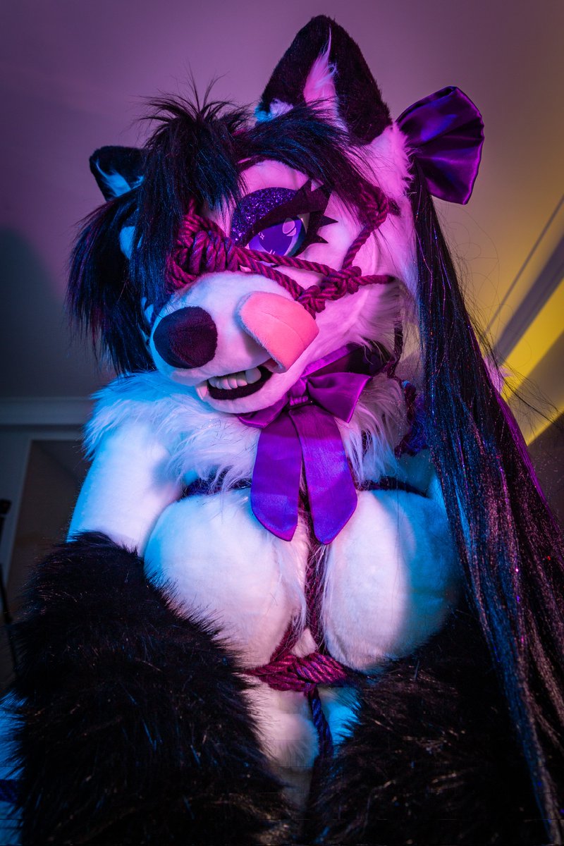 💜Foxyvix💜 tweet media