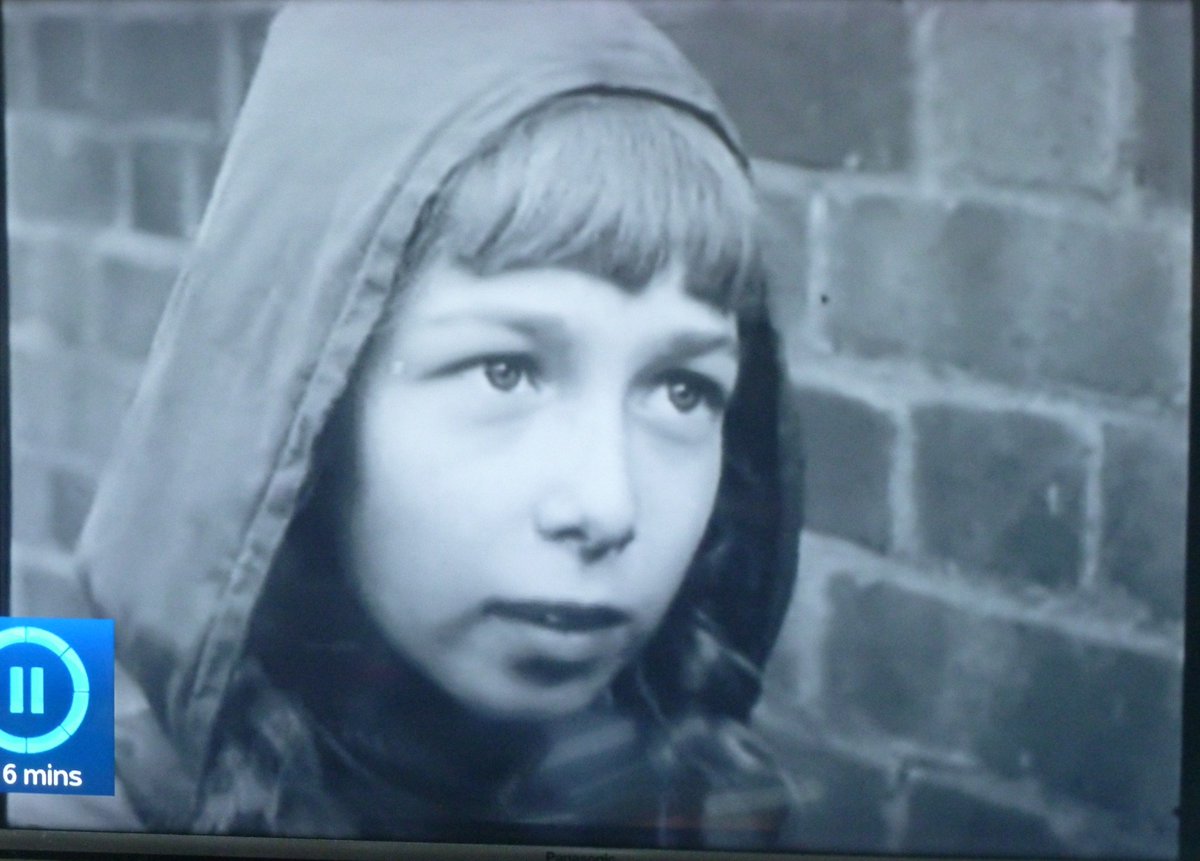 Steven Flavell tweet media