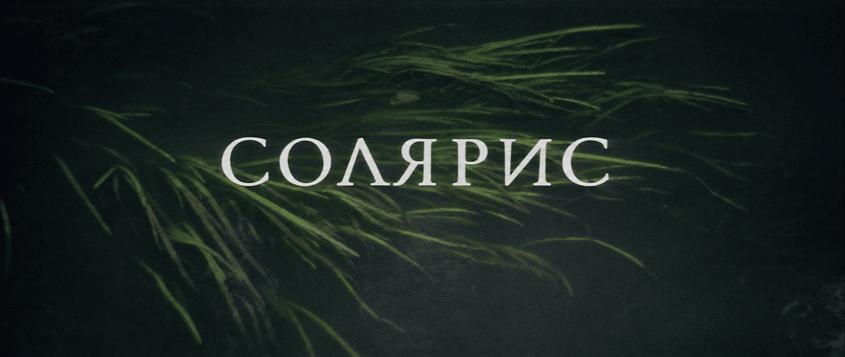 𝐂𝐢𝐧𝐞𝐦𝐚 𝐨𝐟 𝐭𝐡𝐞 𝐔𝐧𝐬𝐞𝐭𝐭𝐥𝐢𝐧𝐠 tweet media