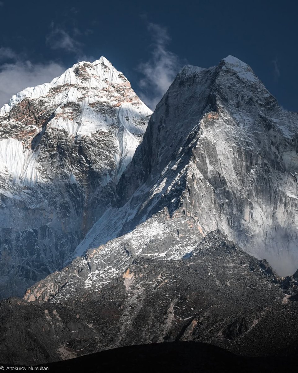 Purely Green tweet media