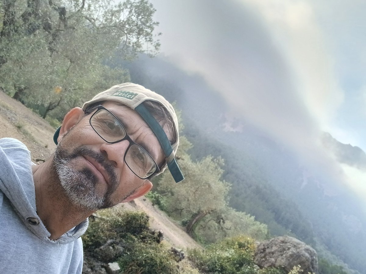 fernando73 tweet media