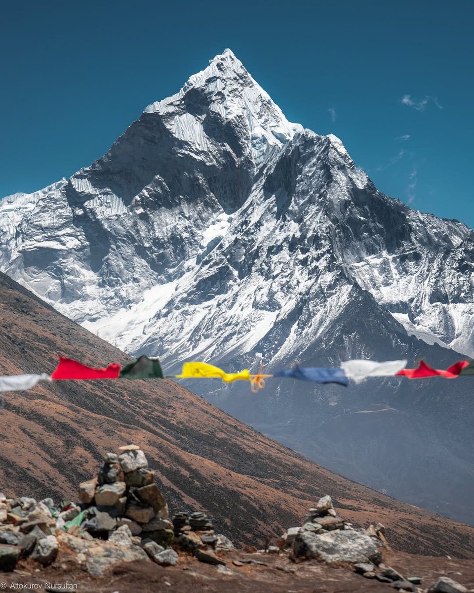 Purely Green tweet media