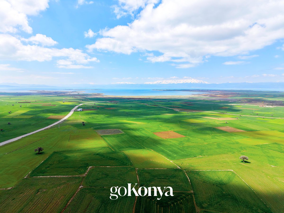 gokonya tweet media