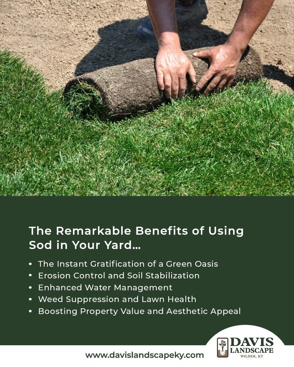LandscapeDavis's tweet image. The Remarkable Benefits of Using Sod in Your Yard…
LEARN MORE... davislandscapeky.com/the-remarkable…

#landscaping #hardscapes #walkways #pavers #concrete #Sod #drainage #homeimprovement #homeandgarden #patios #cincinnati #nky #northernkentucky