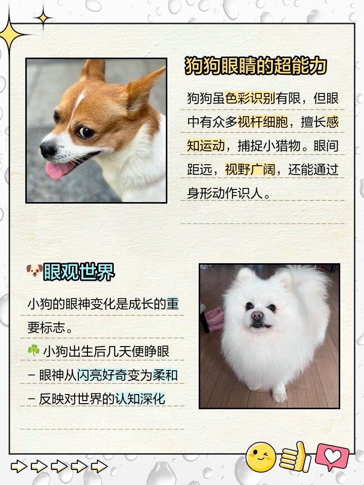 chandan kumar tweet media