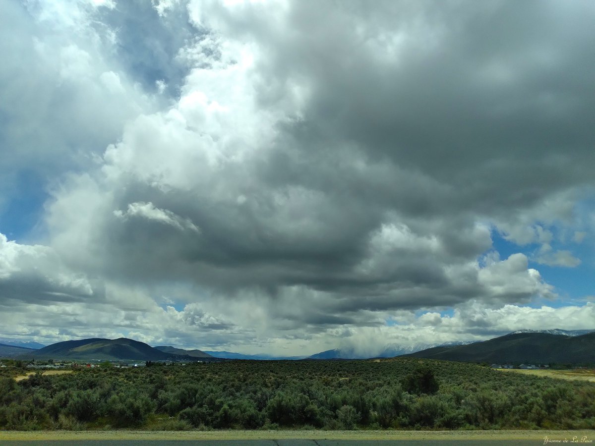MYvonne10054's tweet image. RAIN FALLING OUT OF CLOUDS
BUT NOT REACHING THE GROUND (VIRGA)
On the roads around home yesterday. I love the open spaces, the massive sky, the massive mountains, and their foothills.
#Nevada #NorthernNevada #home #cloudscapes #mountainscapes #clouds #mountains #weather