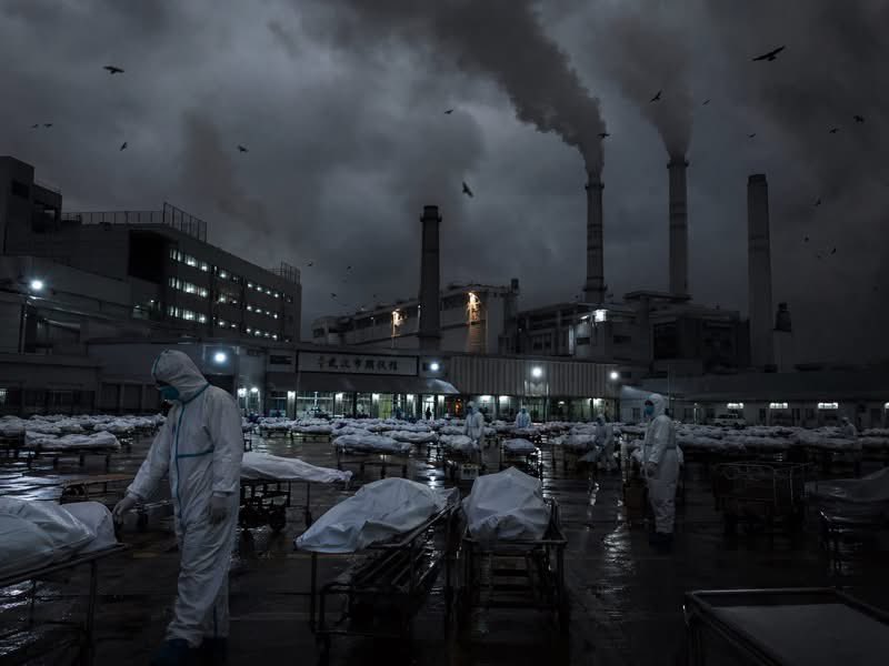 悉尼閑人 tweet media