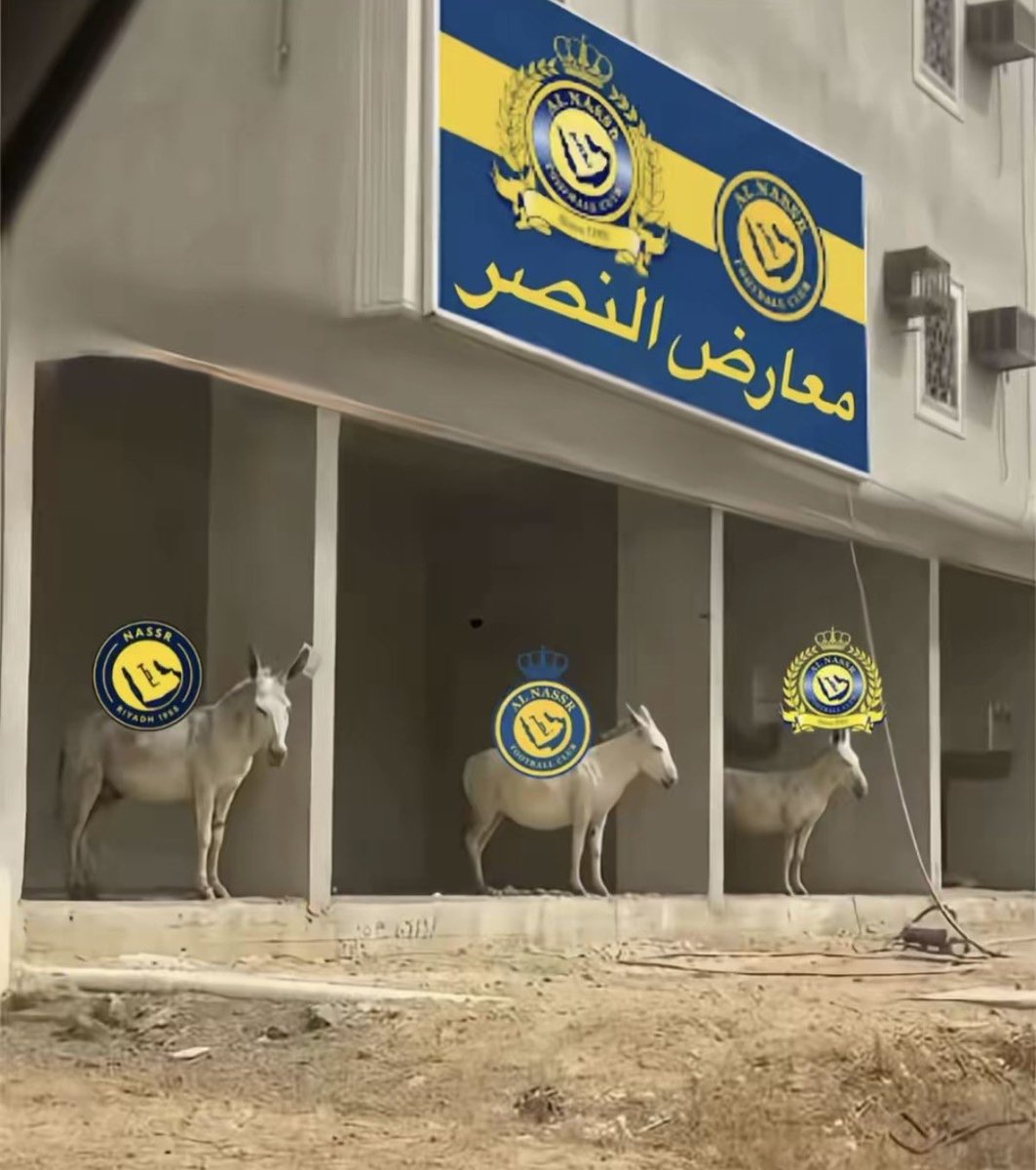 جود الغامدي 💙 Joodalghamdi tweet media