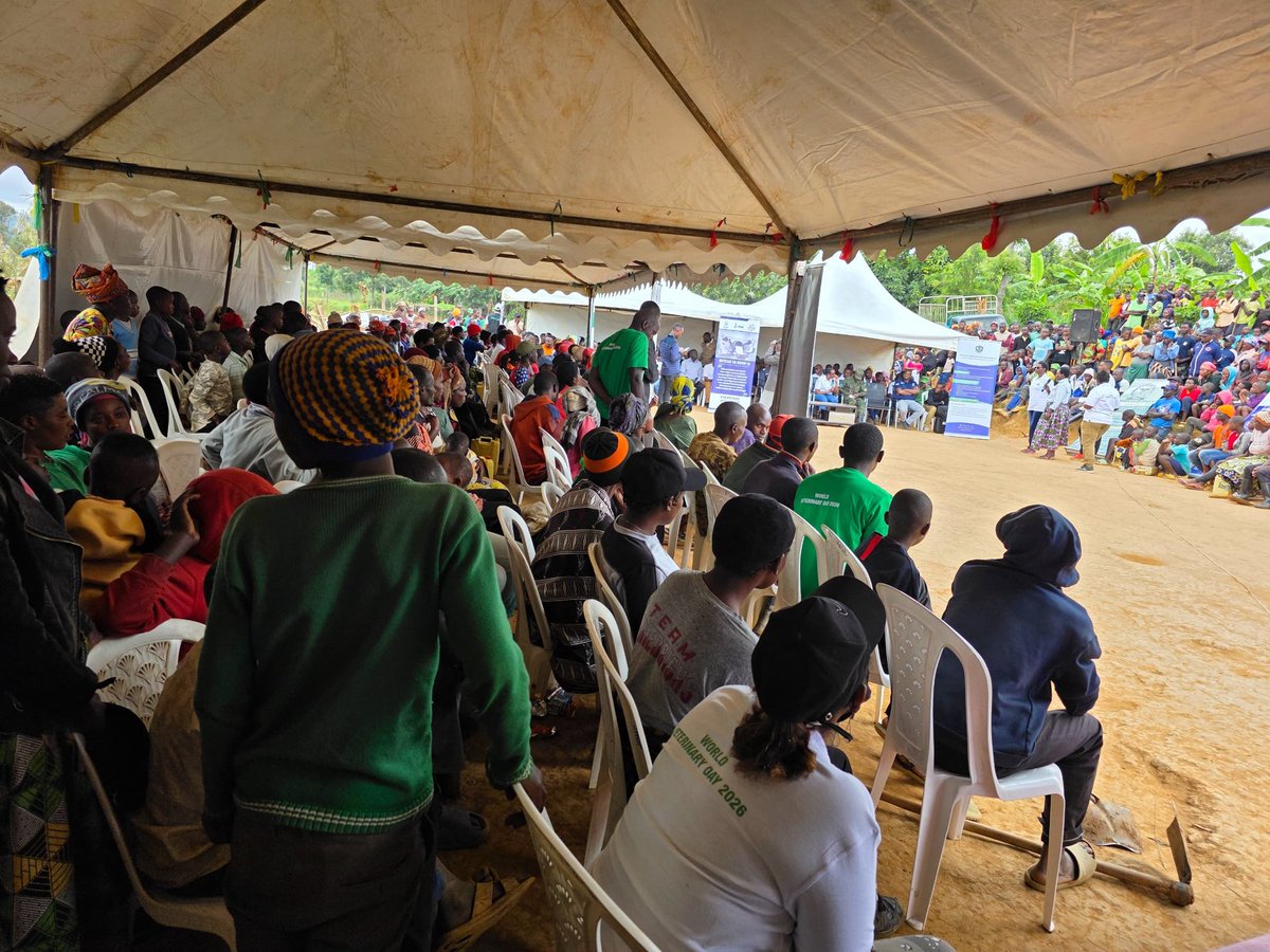 RwandaVets1's tweet photo. 1/3

Today, RCVD Leadership, veterinary practitioners, Veterinary Sanitary Mandate companies, stakeholders in animal resources development and farmers joined the @rulindodistrict community to mark World Veterinary Day 2026.@RwandaAgri @RwandaAgriBoard 
@HeiferRwanda @IFAD @WOAH https://t.co/rb0A5aRNtm