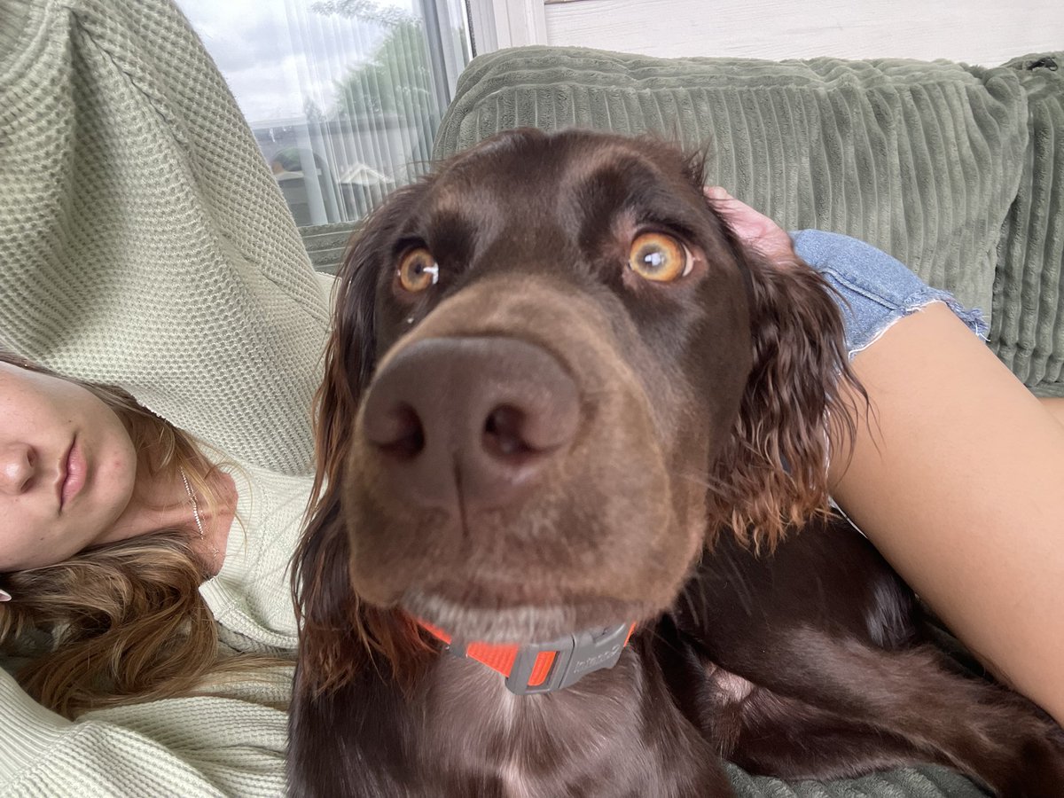 JDgrhrt's tweet image. Sorry just took the best nap of my life on the porch with pooch