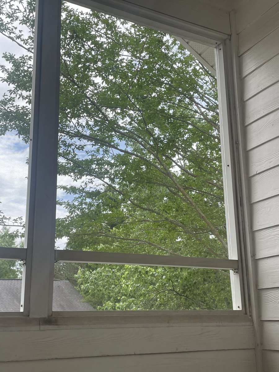 JDgrhrt's tweet image. Sorry just took the best nap of my life on the porch with pooch