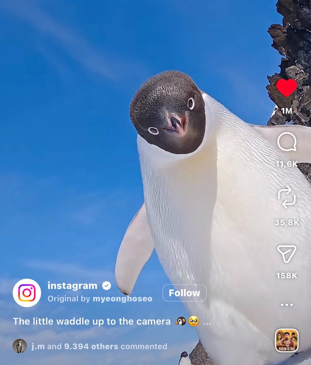 INFO JIMIN ✶ tweet media