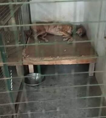 CAGED NationWide tweet media