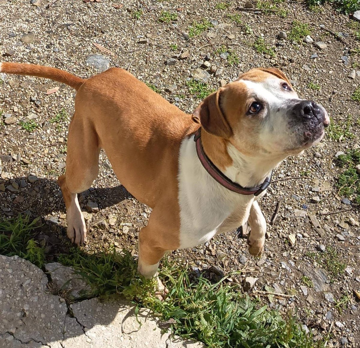 SosAbuelos1's tweet image. #MÁLAGA
#TATI tiene 8 años. Sigue esperando y desesperando mientras ve cómo se le escapan los años en una residencia.

Está esperando una familia que le dé una oportunidad en un hogar donde ella sea hija única.

Tati necesita licencia PPP y puede viajar 

Contacto: 📲649998147