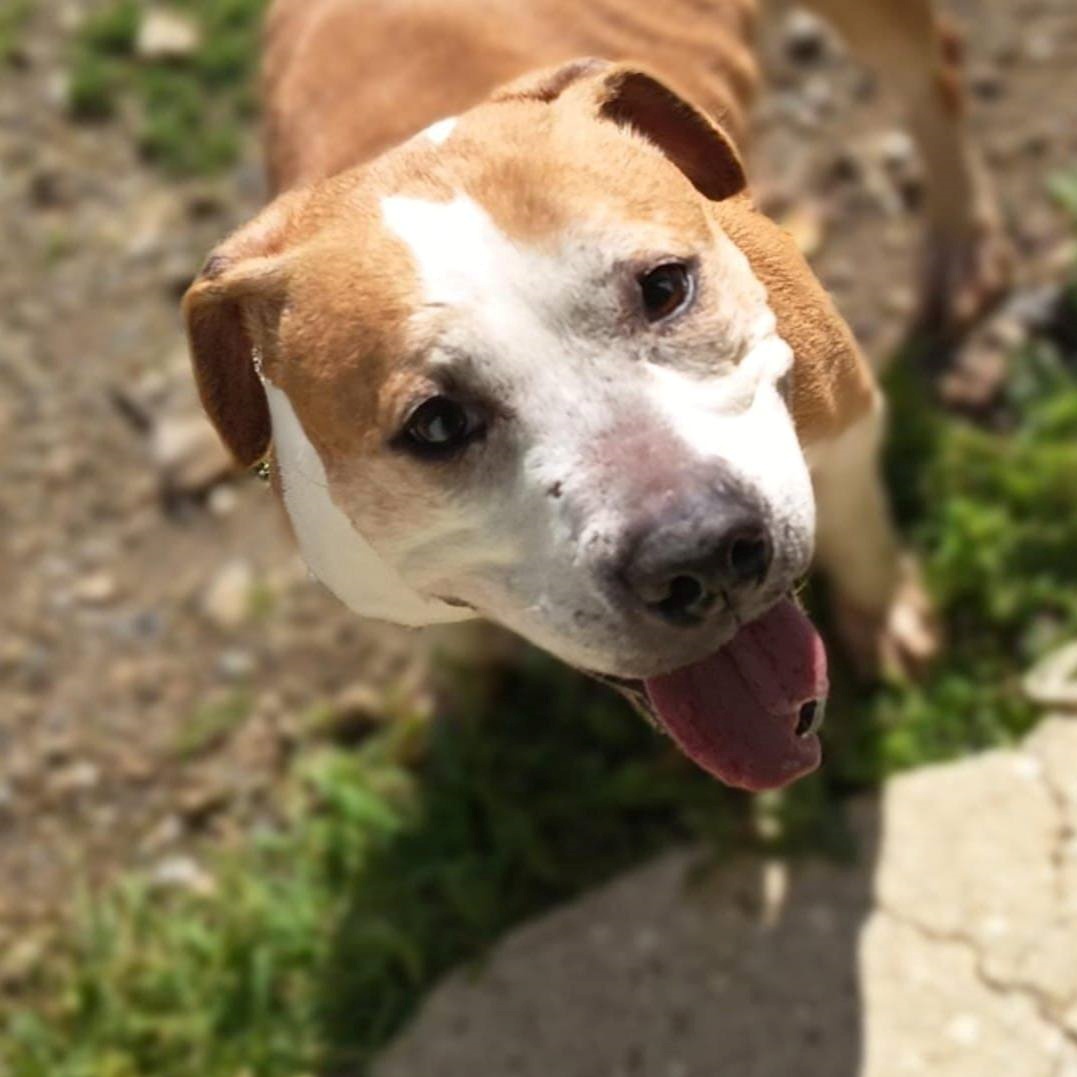 SosAbuelos1's tweet image. #MÁLAGA
#TATI tiene 8 años. Sigue esperando y desesperando mientras ve cómo se le escapan los años en una residencia.

Está esperando una familia que le dé una oportunidad en un hogar donde ella sea hija única.

Tati necesita licencia PPP y puede viajar 

Contacto: 📲649998147