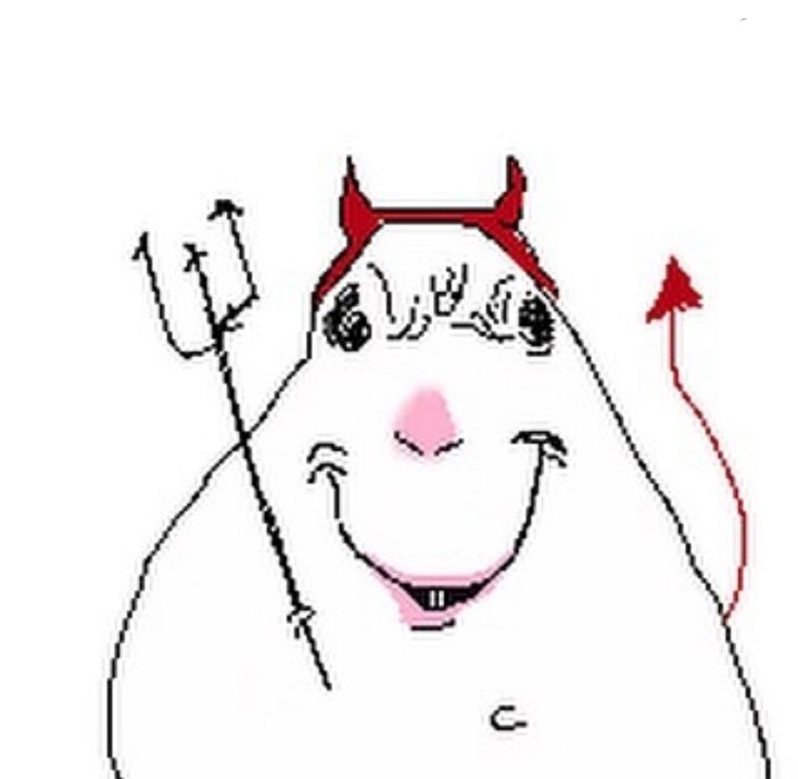 Laika 𓃦☆•* MDNI tweet media