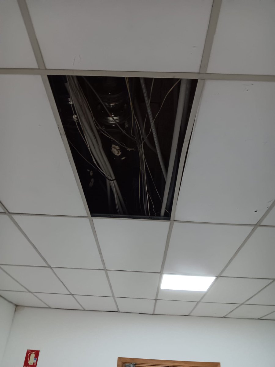 Mercedes Huertas Aguilera 💜🔻 tweet media