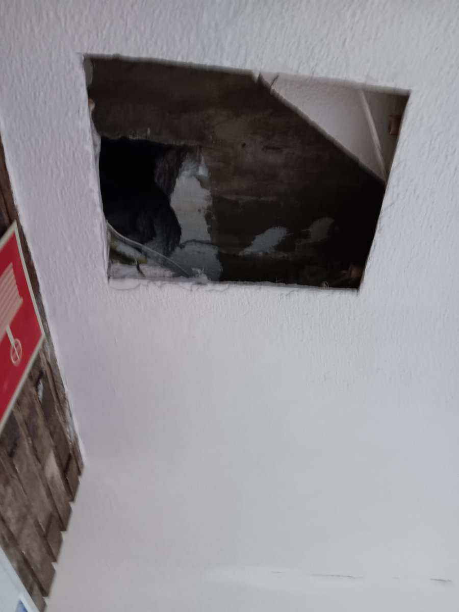 Mercedes Huertas Aguilera 💜🔻 tweet media