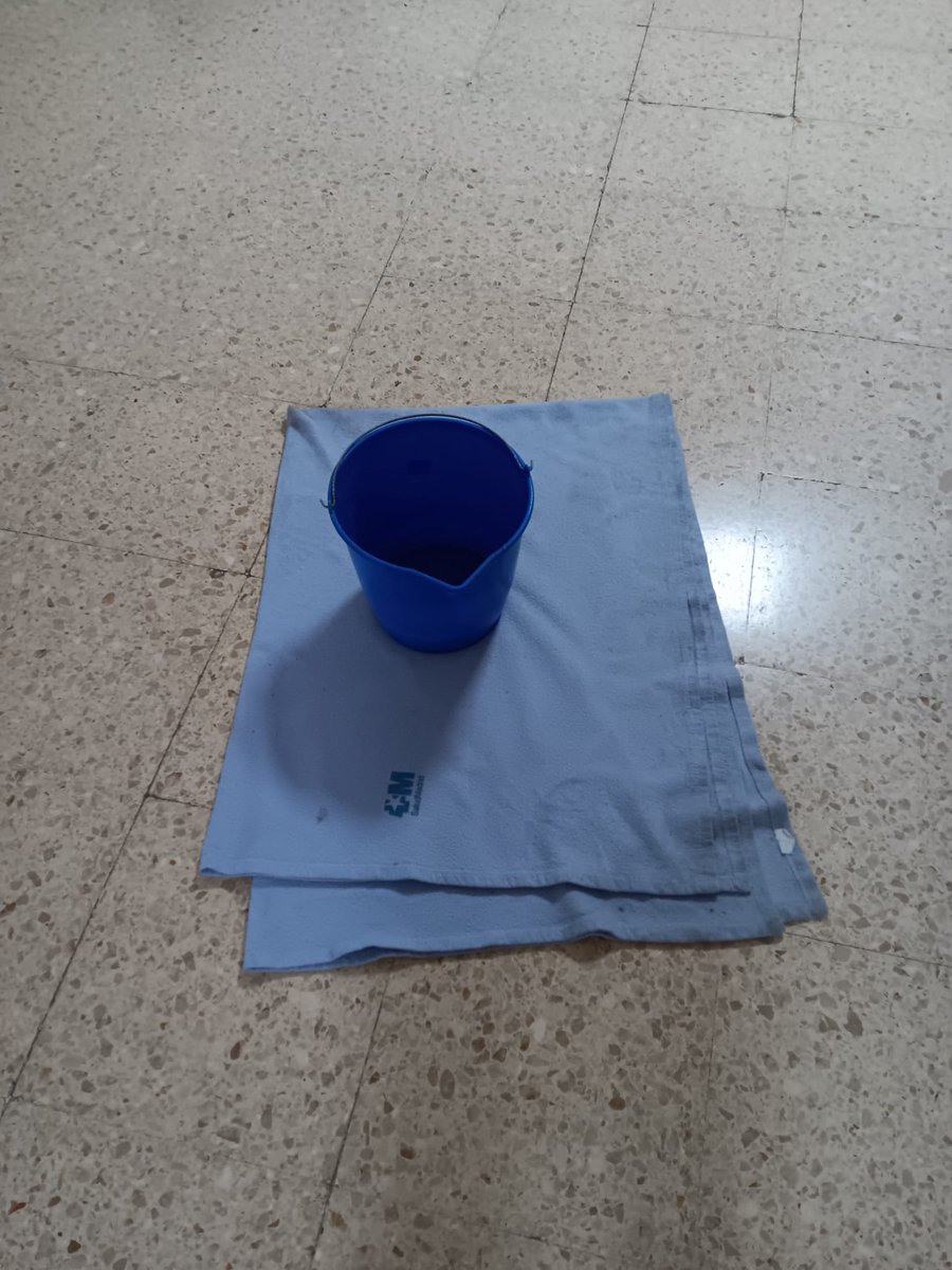 Mercedes Huertas Aguilera 💜🔻 tweet media