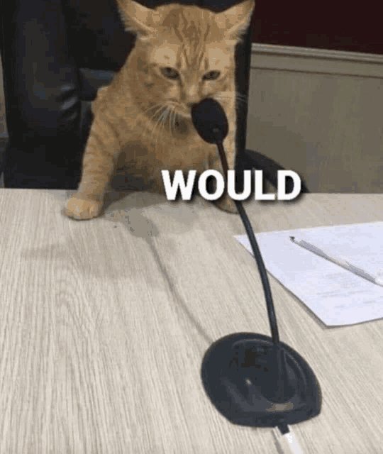 Playboy Gary Hart tweet media