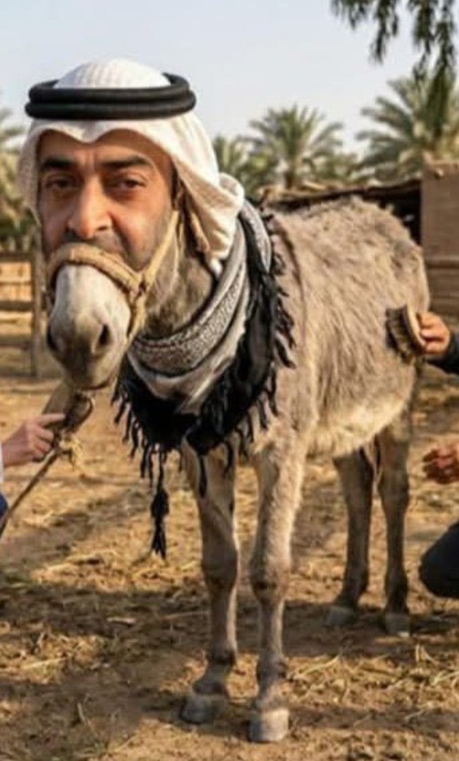 الشمالي tweet media