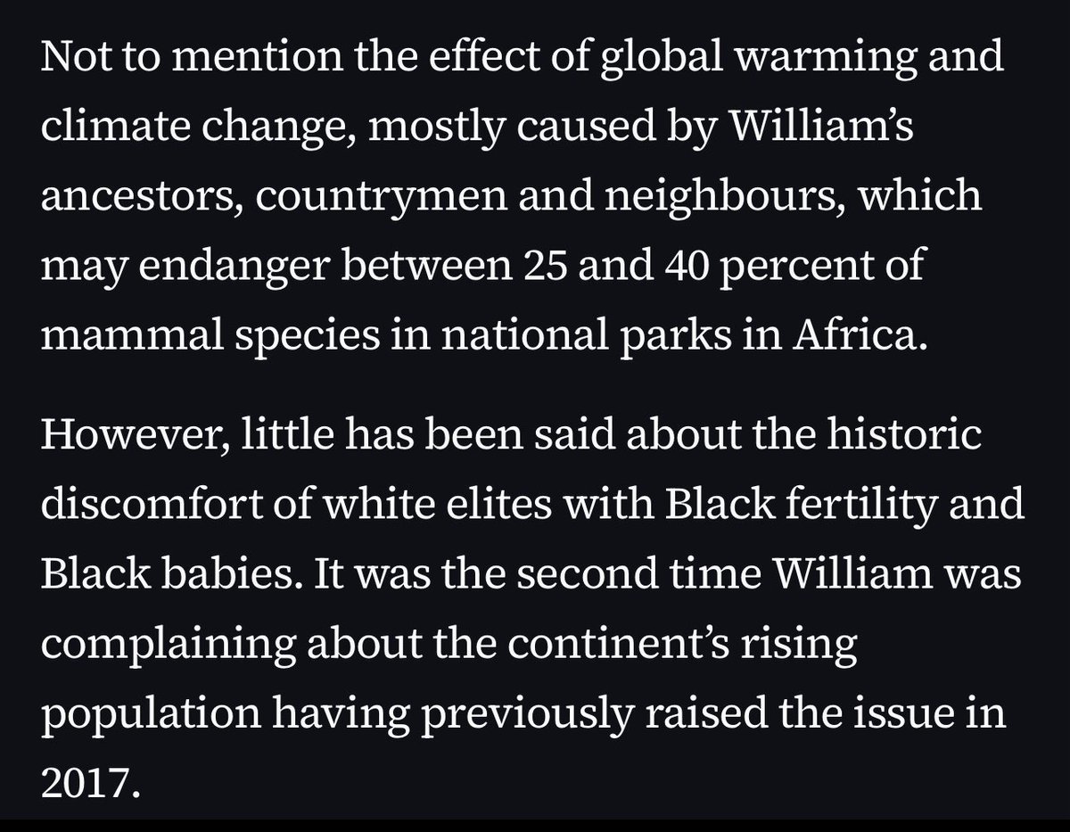 La Patrona tweet media