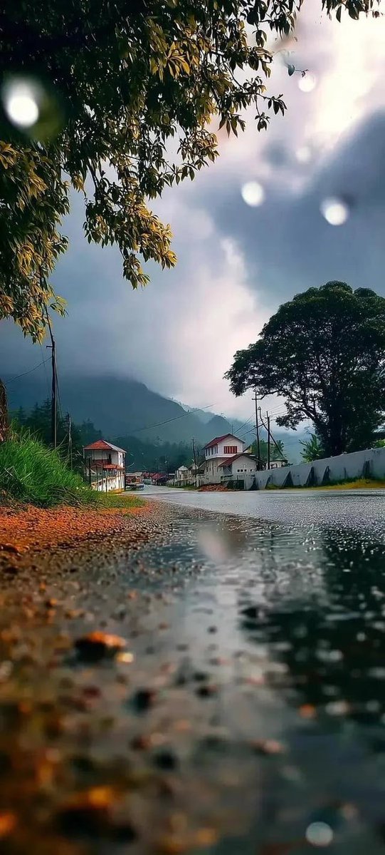 mshafqat72's tweet image. 💐💐So Beautiful and Colourful Nature 💐💐

#NaturePhotography #NatureBeauty #Beautiful #NatureLover #NatureScenery #Photography #nature #autumn #naturelovers #beautifulflowers #happymood