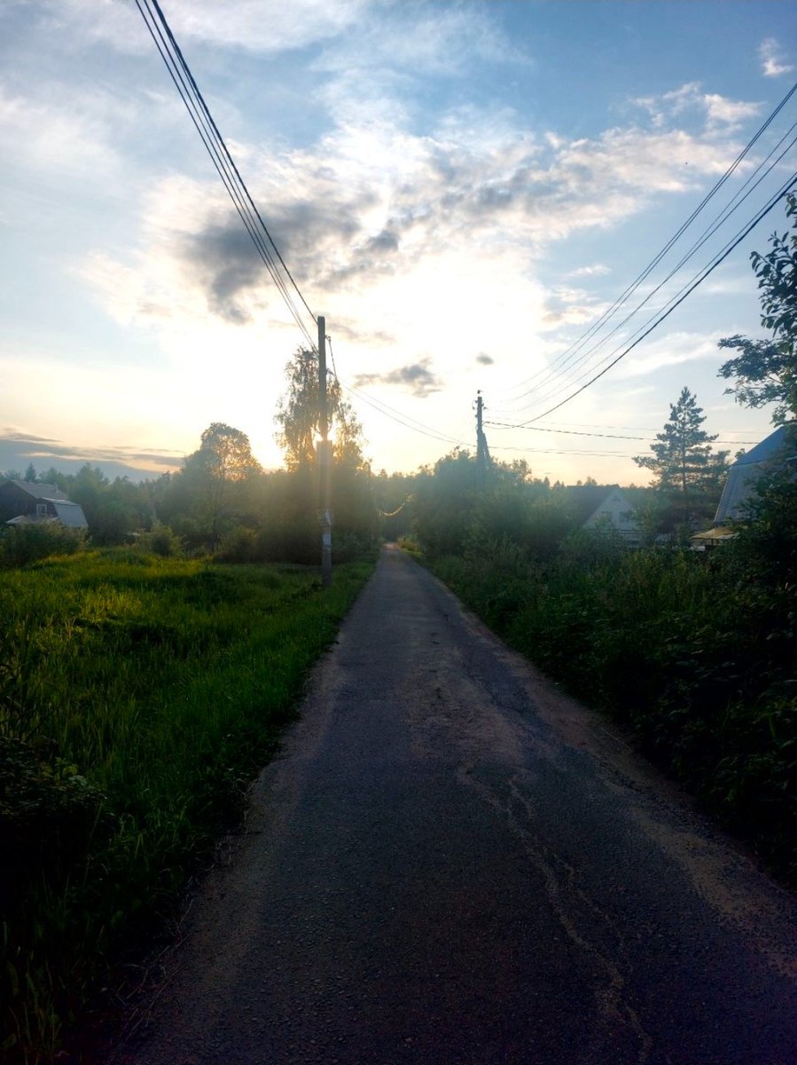 芋野斧子🅾️ tweet media